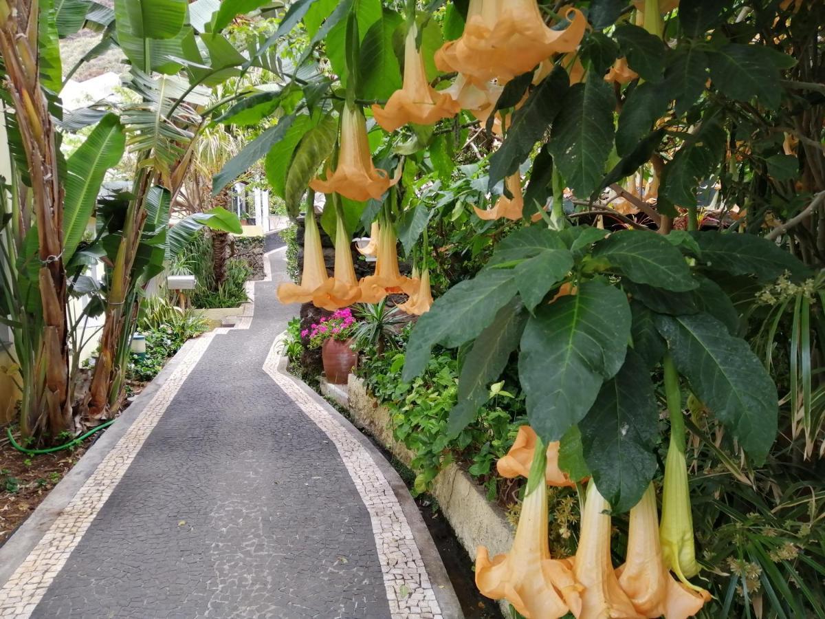 Willa Casa Lg Jardim do Mar Zewnętrze zdjęcie